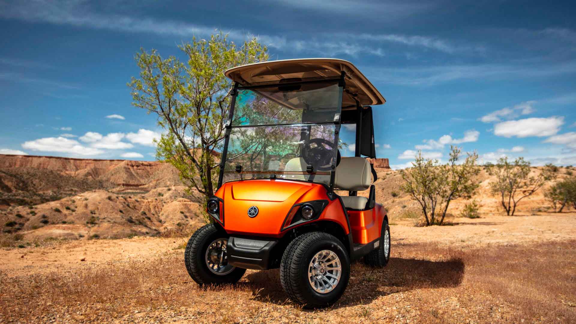 Golf Car Personal Transporter